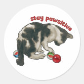 Cat Playing with MARBLES, Stay Pawsitive, Pun Ronde Sticker (Voorkant)