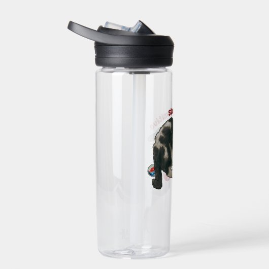 Cat Playing with MARBLES, Stay Pawsitive, Pun Waterfles (Rechts)