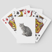 Cat  pokerkaarten (Achterkant)