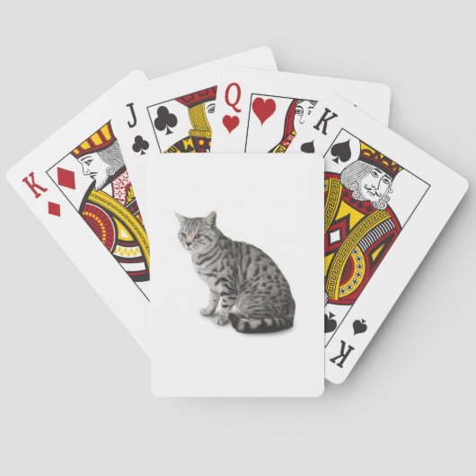Cat  pokerkaarten (Achterkant)