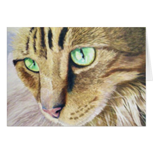 Cat Portrait (Voorkant Horizontaal)