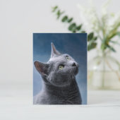 Cat Portrait Briefkaart (Staand voorkant)