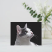 Cat Portrait Briefkaart (Staand voorkant)