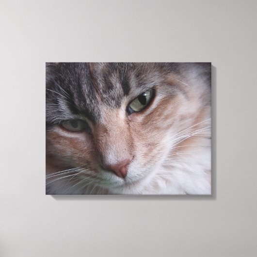 Cat Portrait Canvas Afdruk (Voorkant)