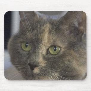 Cat Portrait Mousepad Muismat
