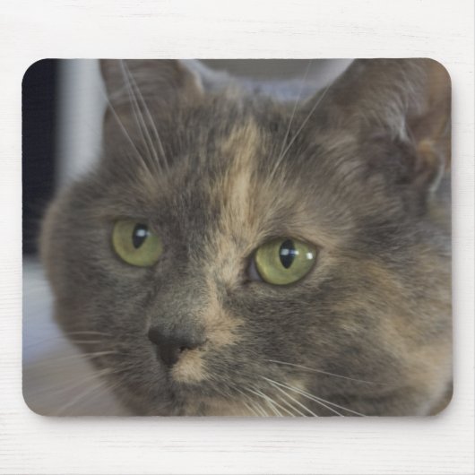 Cat Portrait Mousepad Muismat (Voorkant)