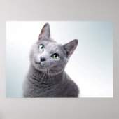 Cat Portrait Poster (Voorkant)