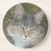 Cat Portrait Zandsteen Onderzetter (Voorkant)