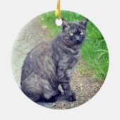 Cat Posing on a Walk Motivatie Keramisch Ornament (Achterkant)