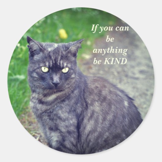 Cat Posing on a Walk Motivatie Ronde Sticker (Voorkant)