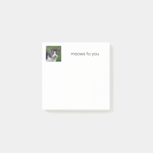 Cat Post-it Opmerkingen Post-it® Notes (Voorkant)