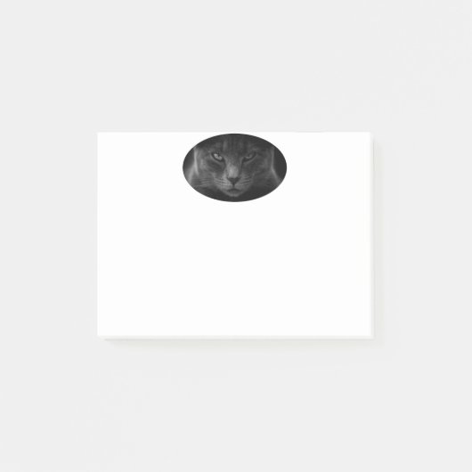 Cat Post-it Opmerkingen Post-it® Notes (Voorkant)