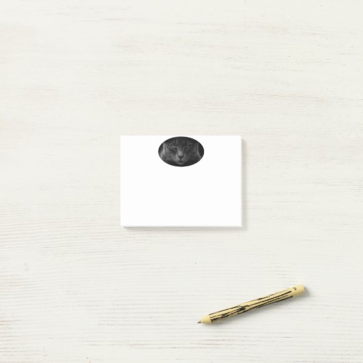 Cat Post-it Opmerkingen Post-it® Notes (Op bureau)