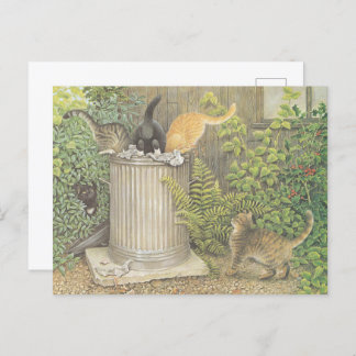 CAT POSTCARD ILLUSTRATION BRIEFKAART