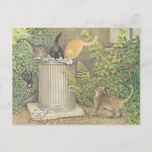 CAT POSTCARD ILLUSTRATION BRIEFKAART (Voorkant)