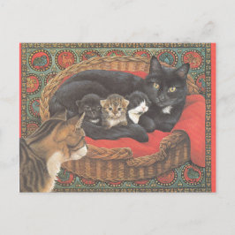 Cat Postcards Briefkaart