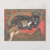 Cat Postcards Briefkaart (Voorkant)