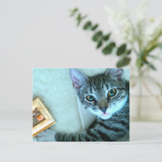 Cat Postcrossing Briefkaart (Staand voorkant)