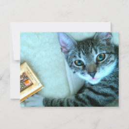 Cat Postcrossing Briefkaart