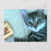 Cat Postcrossing Briefkaart (Voorkant)