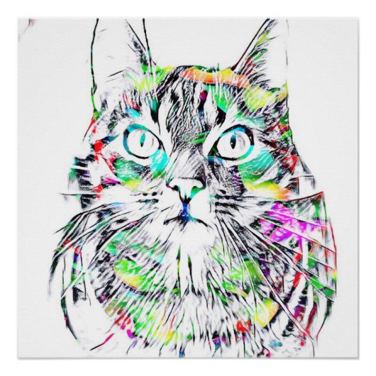 CAT POSTER (Voorkant)