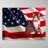 Cat Poster All American (Voorkant)