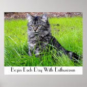 CAT-POSTER POSTER (Voorkant)