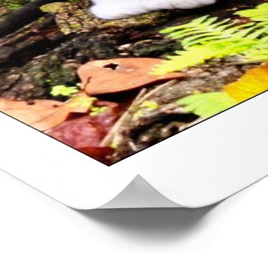 CAT-POSTER POSTER (Hoek)