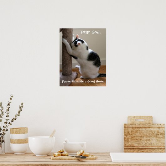 Cat Praying Poster (Keuken)