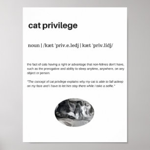 Cat privilege grappig citaat wit poster