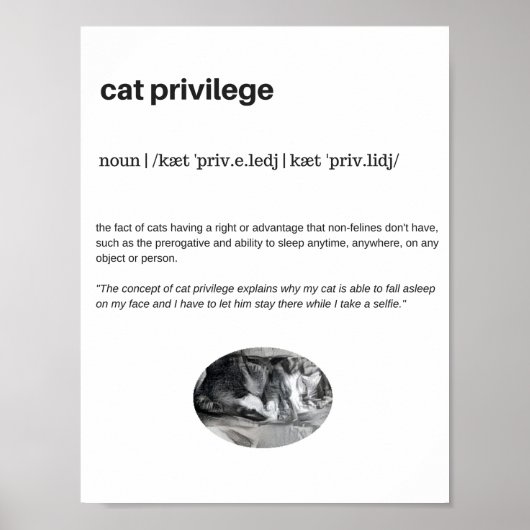 Cat privilege grappig citaat wit poster (Voorkant)
