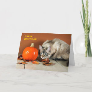 Cat & Pumpkin Verjaardag Kaart