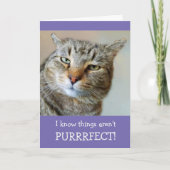 Cat Pun en Joke worden goed Kaart (Voorkant)