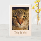 Cat Pun krijgt een goede Kaart (Gele Bloem)