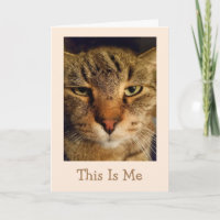Cat Pun krijgt een goede Kaart