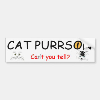 Cat Purrson Bumpersticker