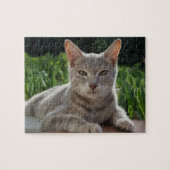 Cat Puzzle Legpuzzel (Horizontaal)