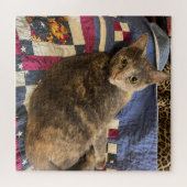 Cat Puzzle Legpuzzel (Horizontaal)