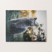 Cat Puzzles Cat Kitten Photography Animal Pic Cat Legpuzzel (Horizontaal)