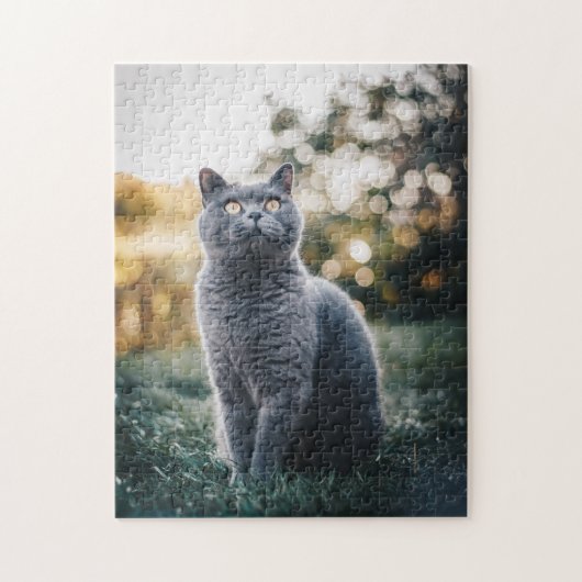 Cat Puzzles Cat Kitten Photography Animal Pic Cat Legpuzzel (Verticaal)