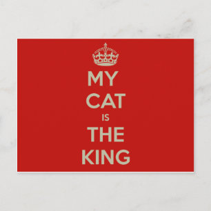 CAT-quote Briefkaart