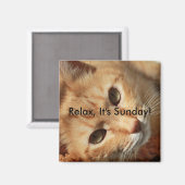 Cat quote magneet (Voorkant / Achterkant)