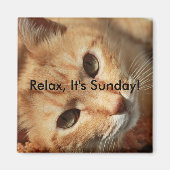 Cat quote magneet (Voorkant)