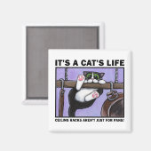 Cat Rack v.01 - Het leven van een kat magneten (Voorkant / Achterkant)