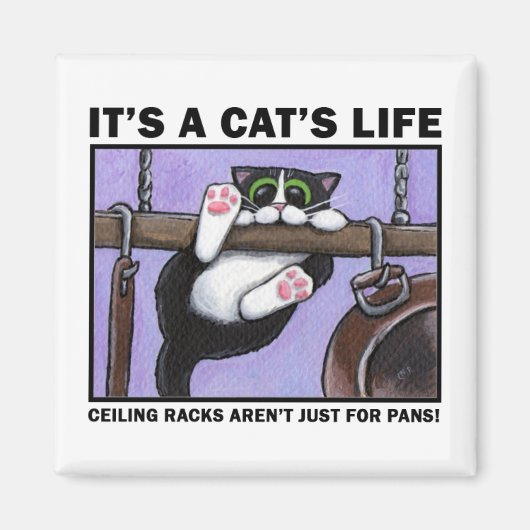 Cat Rack v.01 - Het leven van een kat magneten (Voorkant)