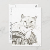 Cat Ragdoll Portrait Briefkaart (Voorkant / Achterkant)