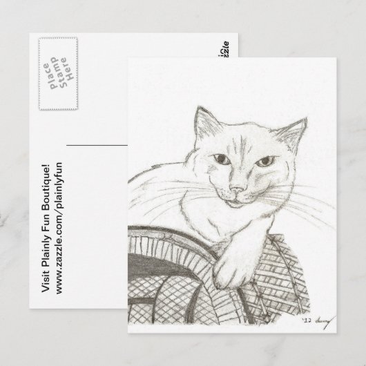 Cat Ragdoll Portrait Briefkaart (Voorkant / Achterkant)