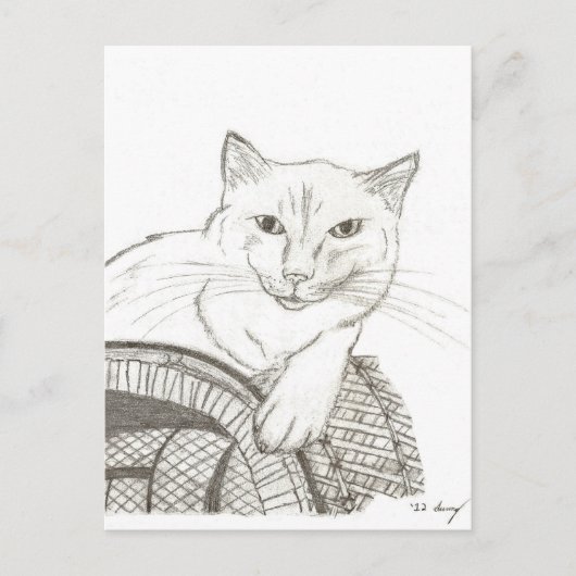 Cat Ragdoll Portrait Briefkaart (Voorkant)
