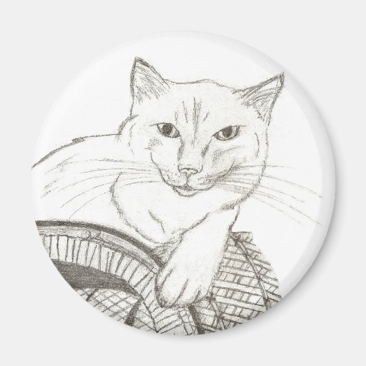 Cat Ragdoll Portrait Magnet (Voorkant)
