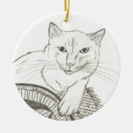 Cat Ragdoll Portrait Ornament (Voorkant)